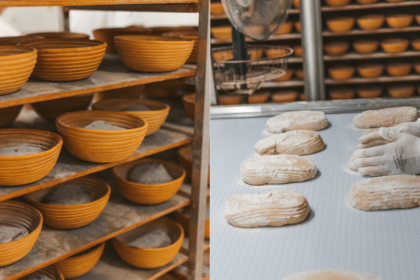 Per tūkstančius metų duonos receptūra mažai pasikeitė: ją kepant naudojami tie patys ingredientai – miltai, druska, vanduo ir natūraliai susidariusios mielės. <br>Pranešimo autorių nuotr.