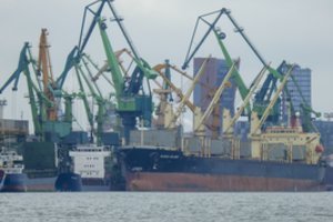 Paskelbti rezultatai dėl dirvožemio užterštumo chromu Klaipėdoje