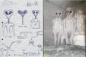 Štai ką greičiausiai pamato galvojantys, kad mato ateivius – vaizdas ir linksmas, ir šiek tiek šiurpus