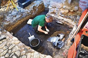 Valdovų rūmai tyrinėtojams pateikė staigmenų