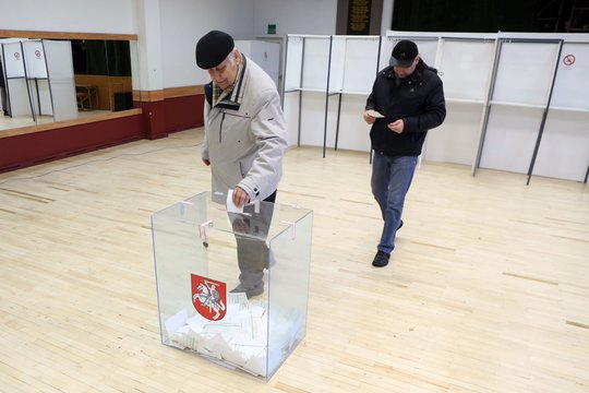 Ekspertas paskaičiavo, kiek kainuotų rinkimų kartelės nuleidimas