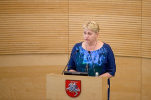 R. Budbergytė apie kitų metų biudžeto svarstymą: procesas nekontroliuojamas