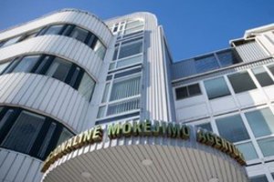 ŽŪM perkėlimui į Kauną vadovavusi V. Zumerienė – NMA patarėja