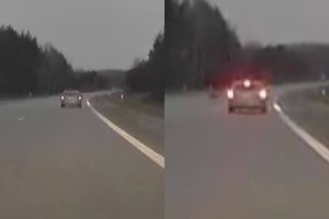 Per plauką nuo nelaimės: prie Molėtų stirna patikrino vairuotojo budrumą