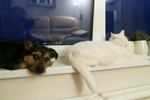 Gruodį kauniečių laukia nemaloni staigmena – šildymas brangs 8,7 proc.