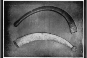 Neįprastas ginklas, senesnis net už bumerangą