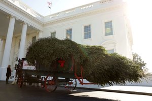 Baltieji rūmai jau ruošiasi Kalėdoms: atkeliavo ypatinga eglutė