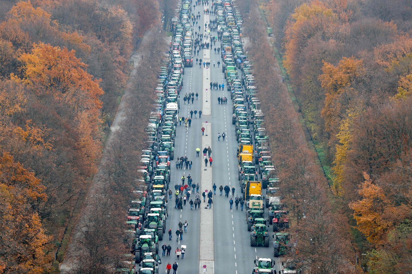  Tūkstančiai ūkininkų antradienį traktoriais suvažiavo prie garsiųjų Berlyno Brandenburgo vartų protestuoti prieš naujas aplinkosaugos taisykles, kurios, pasak jų, kelia grėsmę jų pragyvenimo šaltiniui.<br>AFP/Scanpix nuotr.
