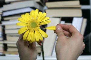 Už čigonės pildytą „Gyvenimo knygą“ šiaulietė sumokėjo per tūkstantį eurų