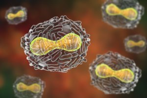 Žuvų taukuose slypi medžiaga, kurios poveikis išgelbės nuo didelių problemų