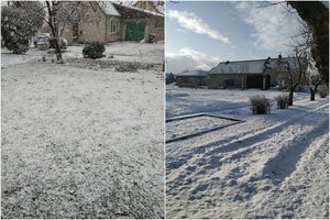 Žemaitiją nuklojo Kalėdų nuotaikos – pasirodė sniegas