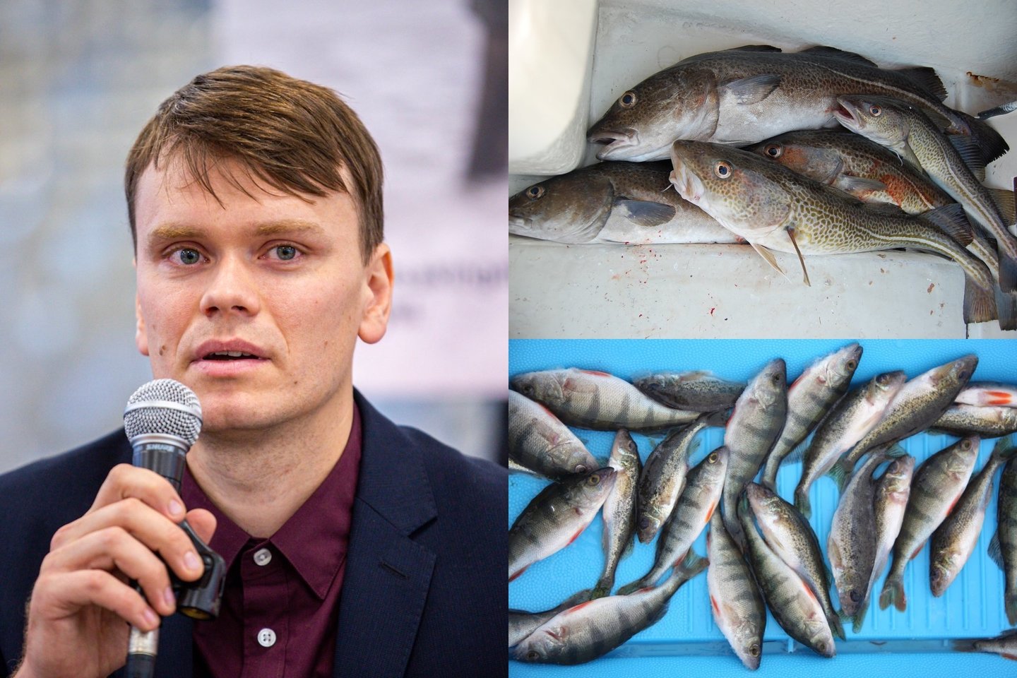 „Net 88 proc. Europos komercinių žuvų rūšių yra išgaudomos, viršijant maksimalų tausią žvejybą užtikrinantį sugaunamos žuvies kiekį“, – sakė Lietuvos gamtos fondo (LGF) atstovas Robertas Staponkus.<br> LGF nuotr.