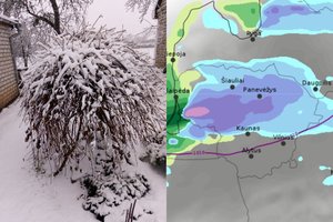 Sinoptikai: per Lietuvą slenka galinga sniego banga