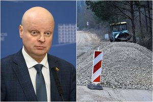 Papildomas finansavimas S. Skvernelio gatvei – be paraiškos ir prašomos sumos