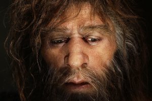 Naujas tyrimas: mes nekalti dėl giminaičių žūties