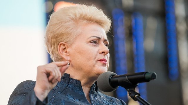 D. Grybauskaitės galimai pigiau nupirktas kilimas – po padidinamuoju stiklu: svarstoma pradėti tyrimą