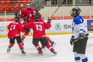 Lietuvoje vyks 20-mečių pasaulio ledo ritulio čempionatas