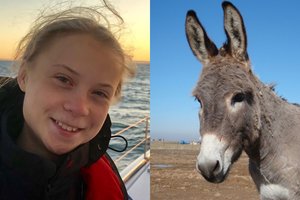 Klimato aktyvistei Gretai Thunberg pasiūlyta iš Lisabonos į Madridą keliauti... asilu