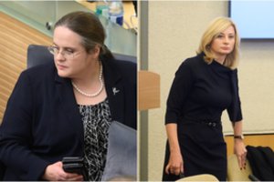 Dėl Seimo pirmininko apsaugos susikirto R. Tamašunienė ir A. Širinskienė 