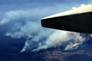 Miško gaisrai Australijoje sukėlė beprecedentį oro užterštumą