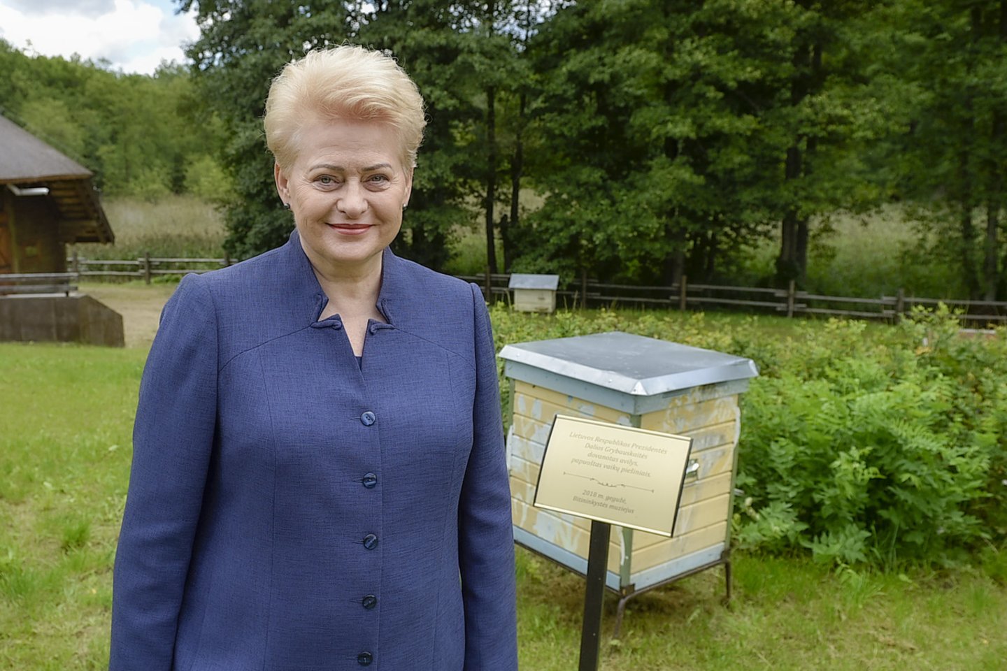  D.Grybauskaitė.<br> LR archyvo nuotr.