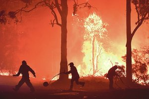 Žmonės jau ruošiasi blogiausiam: gaisrų liepsnos tapo per didelės užgesinti