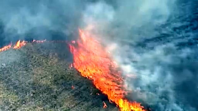 Australiją siaubiantys miškų ir krūmynų gaisrai grasina Sidnėjui