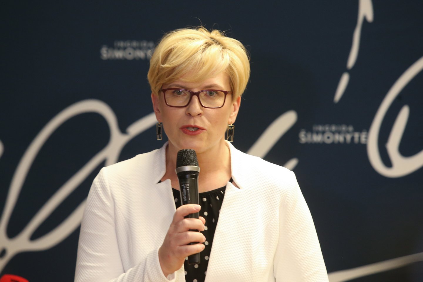 Pasak I.Šimonytės, į biudžeto pajamas jau yra įtraukti ir daug ažiotažo sukėlę mokesčiai, tačiau iki šiol neaišku, nei kaip ir kas bus apmokestinta, nei kokios bus tokių mokesčių pasekmės. <br>R.Danisevičiaus nuotr.