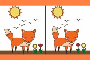 Kokį skirtumą radote pirmą? Tai rodo daugiau nei pastabumą