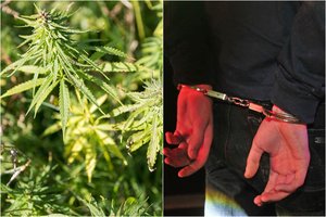 Panevėžio policija likvidavo narkotikų laboratoriją, vienas įtariamųjų – policininkas