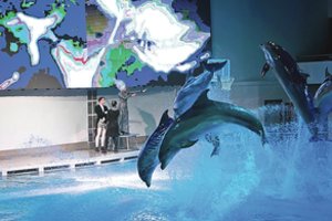 Pasaką apie Sniego karalienę seks ir delfinai