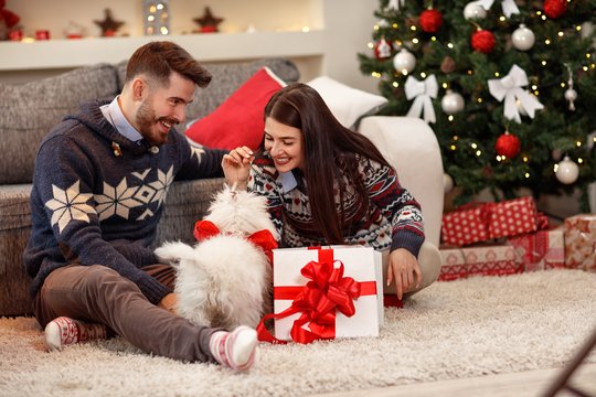 5 dovanų idėjos, kuriomis galite nustebinti augintinį ir jo šeimininką