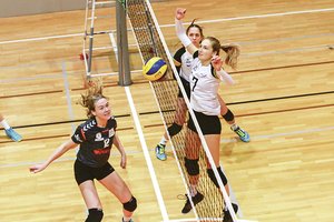 Donato Motiejūno seseriai tinklininkei Kotrynai krepšinį patinka tik žiūrėti