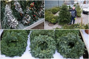 Miško žaliaskares vis labiau ignoruoja – ne tik kaina pirkėjus verčia nuo jų nusigręžti