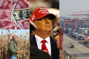 D. Trumpas džiaugsmu trykšta per anksti – paliaubos prekybos kare primena kapituliaciją