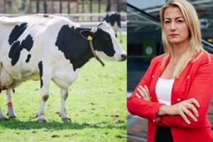 Ūkininkas bandė apgauti žemės paveldėtoją – ši perspėjo, kur klasta