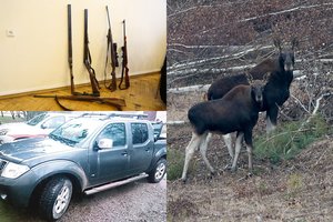 Prisidirbę brakonieriai įkliuvo pareigūnams: už briedę ir elnią sumokės tūkstančius  