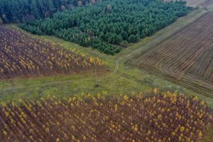 Paramos investicijoms į žemės ūkio valdas prašoma suma 1,5 karto didesnė už skirtąją