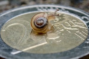 Lietuvos bankas prognozių nekeičia – kitąmet šalies ekonomika augs lėčiau