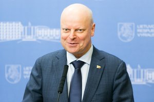 Sprendimą dėl ekonomikos ministro S. Skvernelis žada sausį