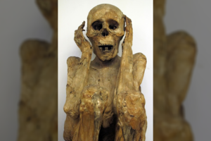 Už vieno garsiausių visų laikų paveikslų slypi istorija, kurios beveik niekas nežino