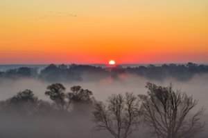 Priešistorinis radinys miestelyje JAV pradžiugino mokslininkus