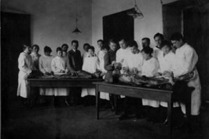 Tragiškos gydytojų mirtys nuo šiltinės įkvėpė vieno svarbiausių universitetų gimimą