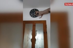 Katės pomėgiai stebina šeimininkus – taip besielgiančios dar nematė