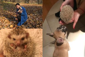 Namuose augina neįprastą porelę: paaiškinimo, jog jie labai skirtingi, neužteks