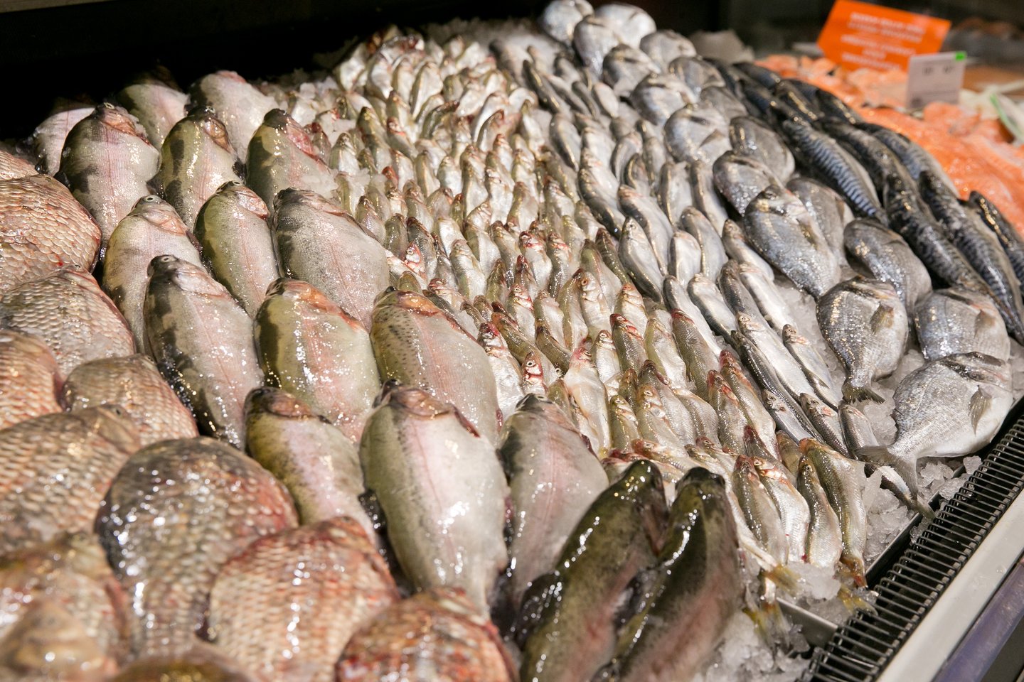Kokią žuvį valgysite per šventes?<br>T.Bauro nuotr.