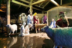 Kūčių vakarą vilniečiai lankėsi piemenėlių mišiose 