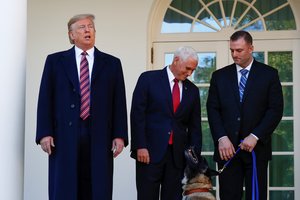 Priėmė naują įstatymą dėl žiauraus elgesio su gyvūnais: grės baudos ir net kalėjimas