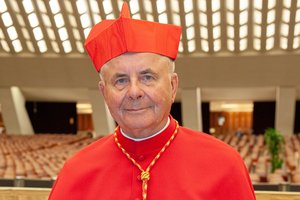 Kardinolas Sigitas Tamkevičius įspėjo: „Žmonės sumaišė vertybes“