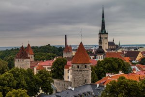 Taline prieš 6 dienas dingusi mergina surasta gyva pelkėje miesto teritorijoje